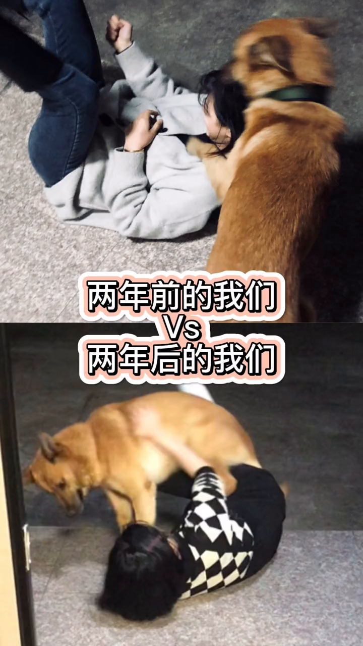 两年前的我们vs两年后的我们