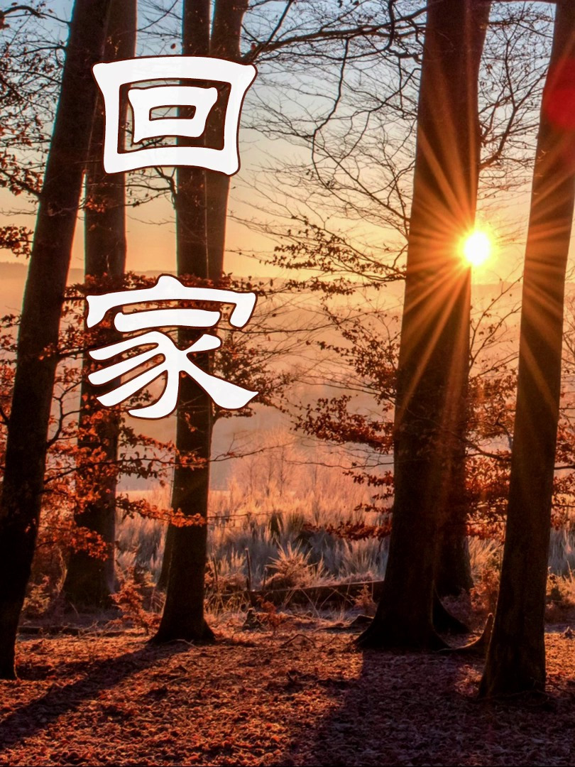 即兴演奏《回家》,萨克斯经典名曲,美妙悠扬的旋律令人回味!