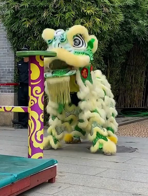 弘扬国粹非物质文化遗产《广东醒狮》梅花桩精彩表演