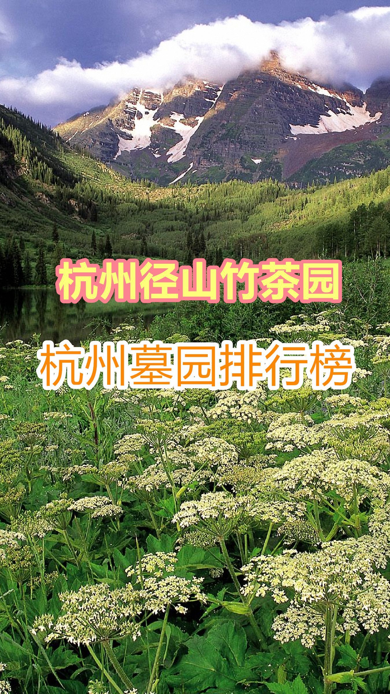 径山竹茶园山居诗语图片