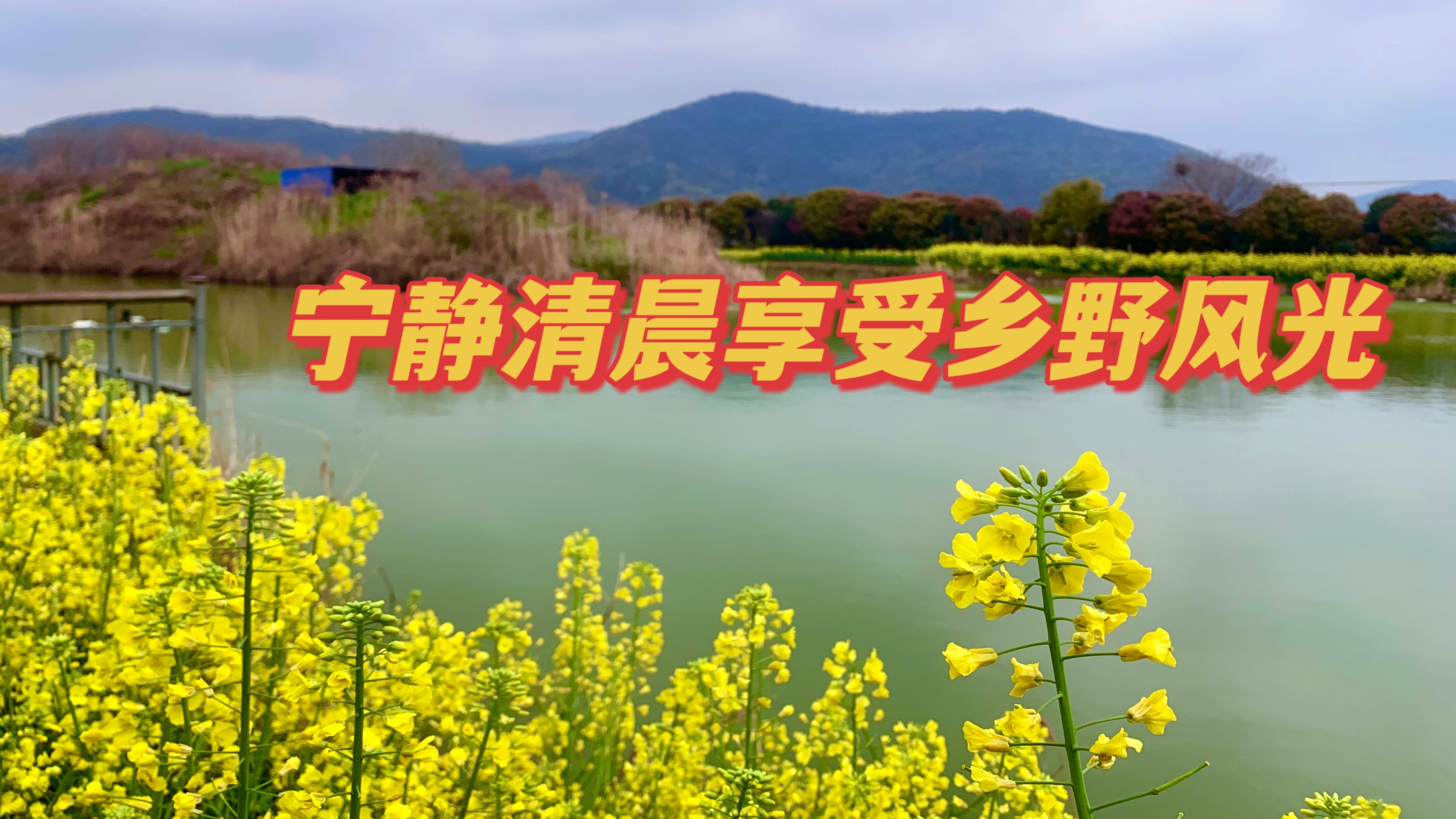 听清脆悦耳的鸟叫声、一池碧水映着岸上的风景,闻油菜花清甜香味