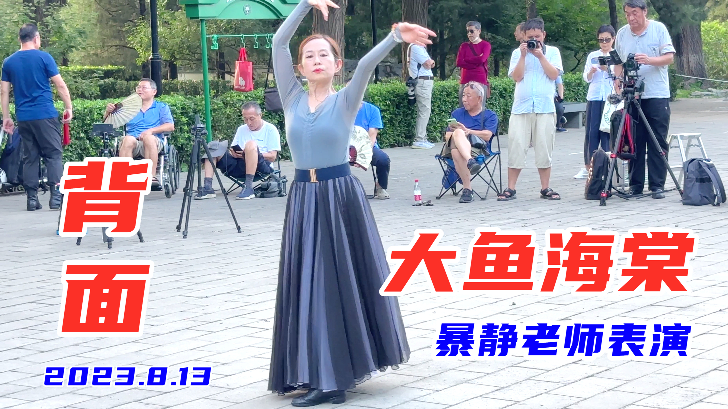 暴静老师《大鱼海棠》背面演示来啦,大气优美规范!玲珑广场舞