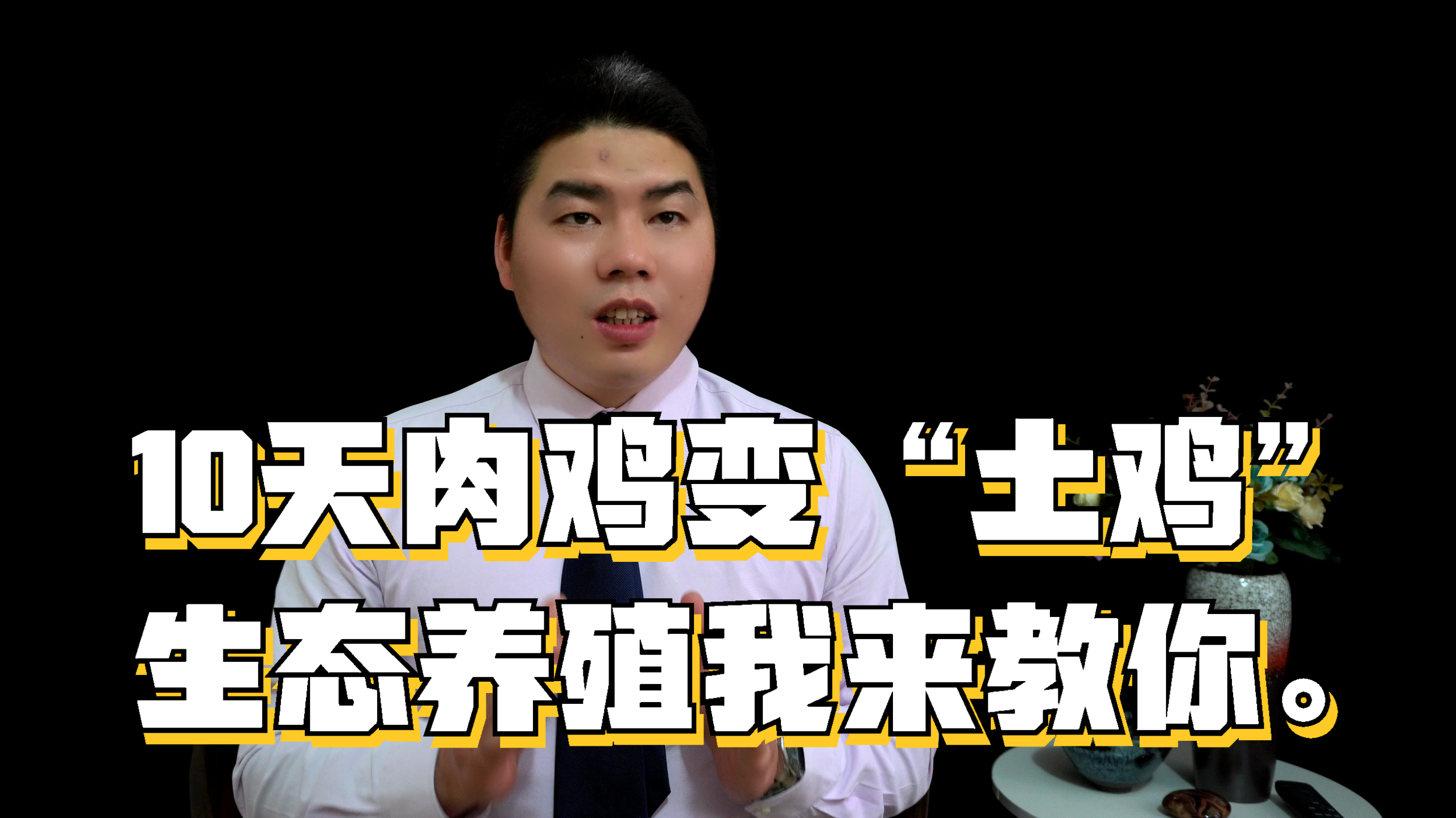 10天肉鸡变“土鸡”?有机生态养殖你也可低成本实现