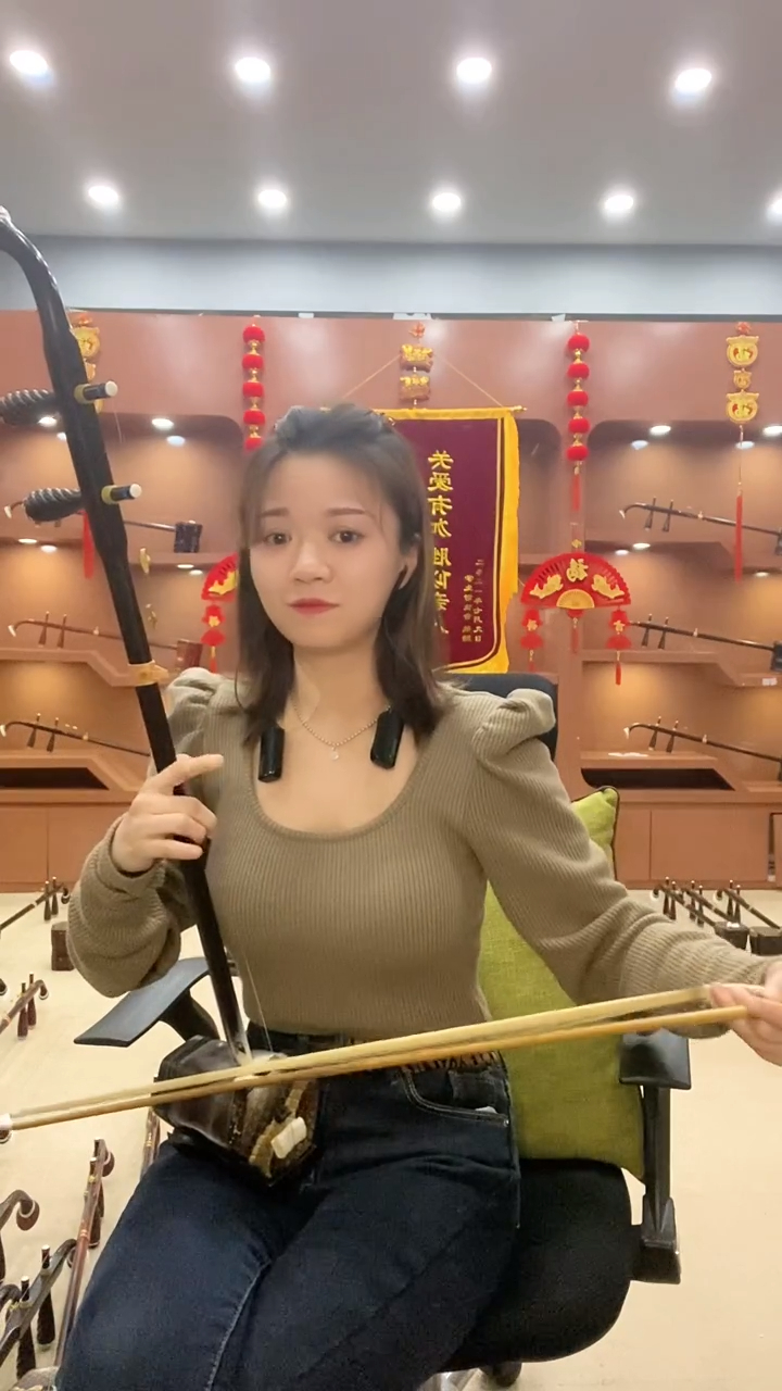 二胡演奏经典老歌《南泥湾》