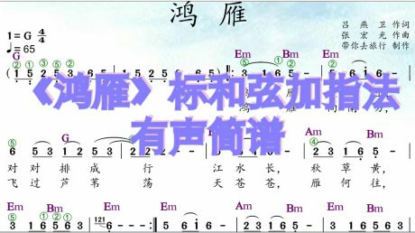 有声简谱《鸿雁》标和弦加指法完整版