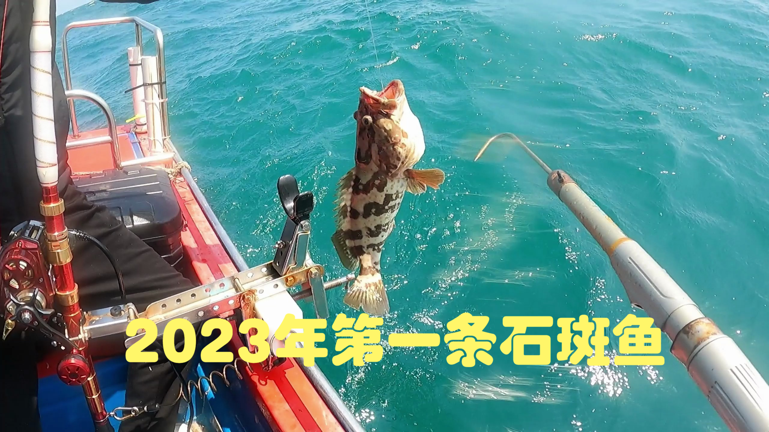 顶着大风浪作钓,终于钓上2023年的第一条石斑鱼,太刺激了