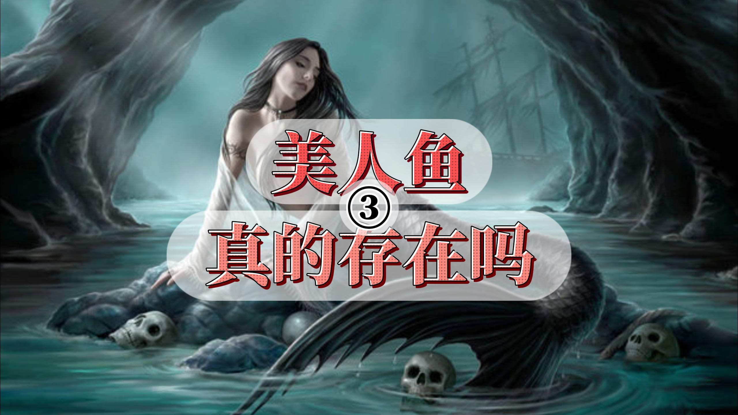 美人鱼真的存在吗?3