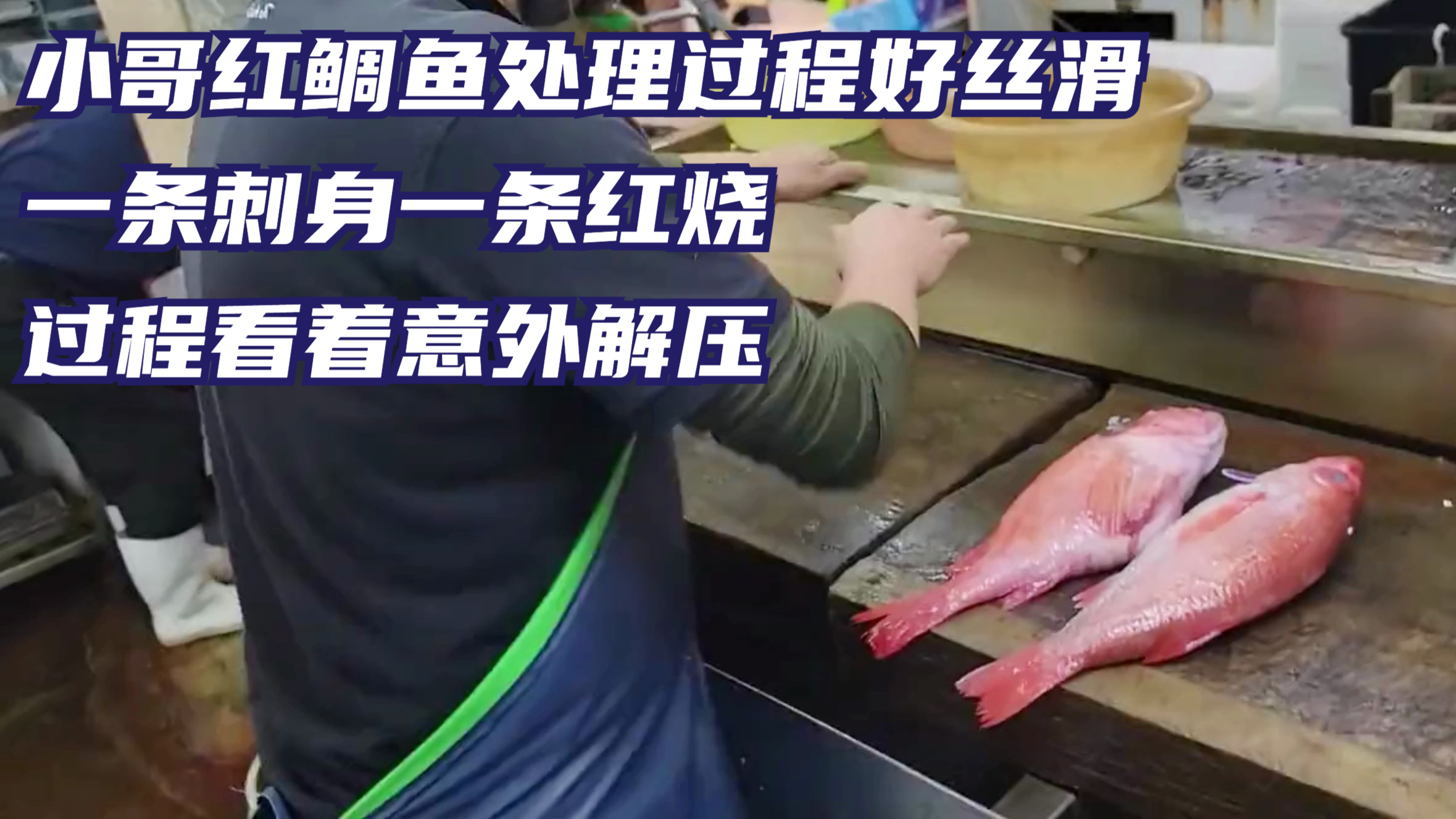 小哥红鲷鱼处理过程好丝滑,一条刺身一条红烧,过程看着意外解压