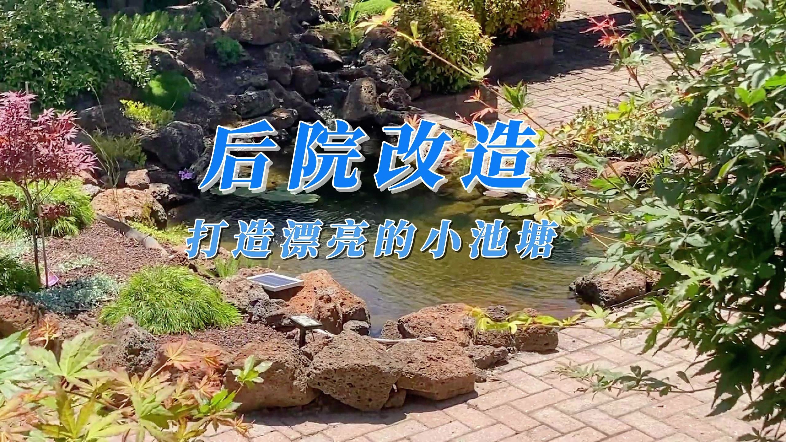 后院改造,亲手挖一个池塘来养鱼