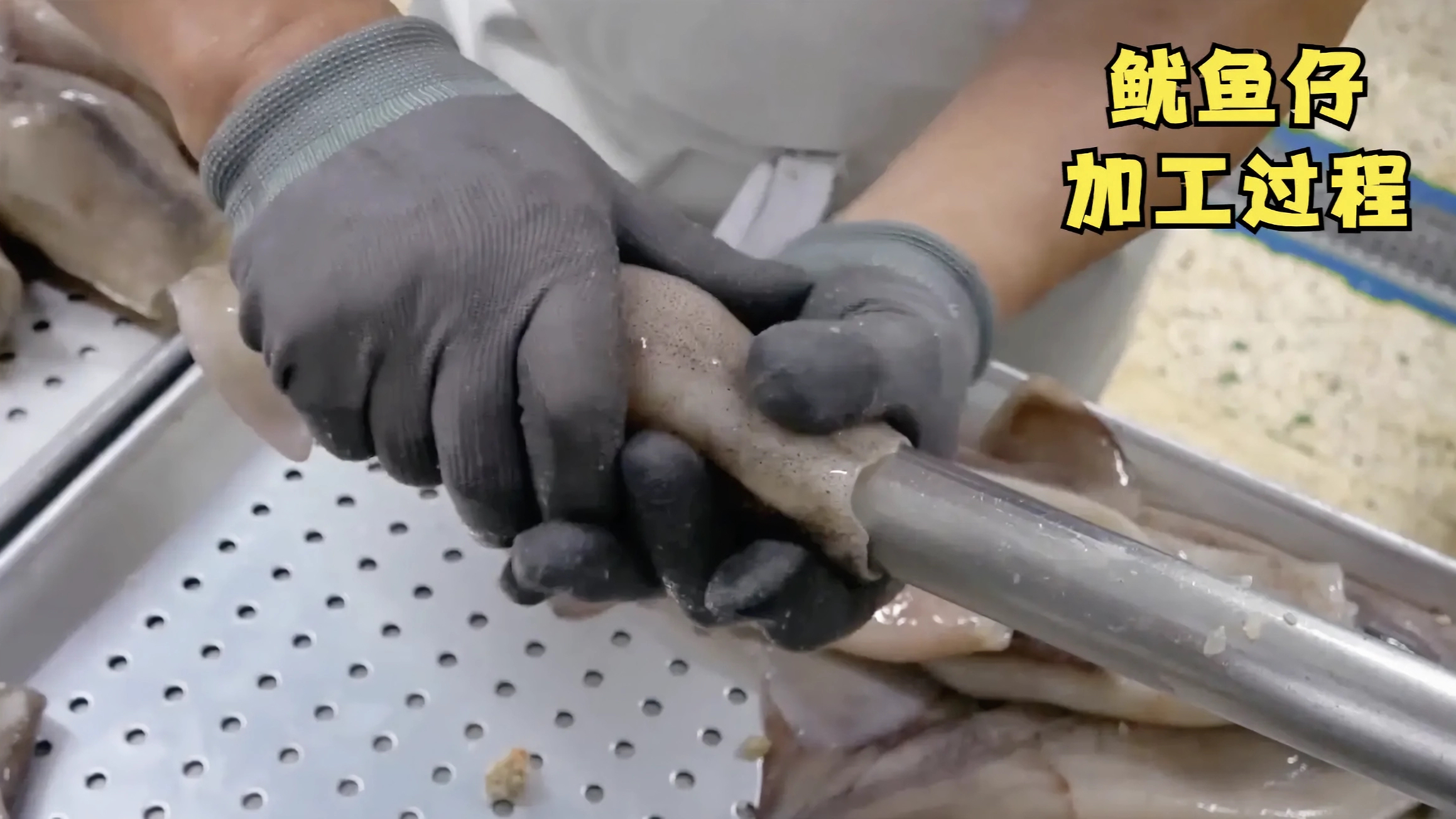 揭秘鱿鱼加工厂,用这种方法,制作出美味的鱿鱼仔