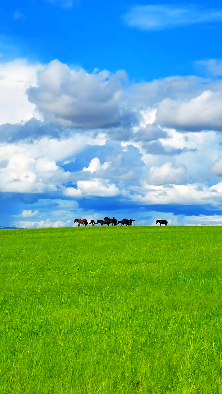 蓝天,白云,骏马,晚风,期待的美丽这儿都有
