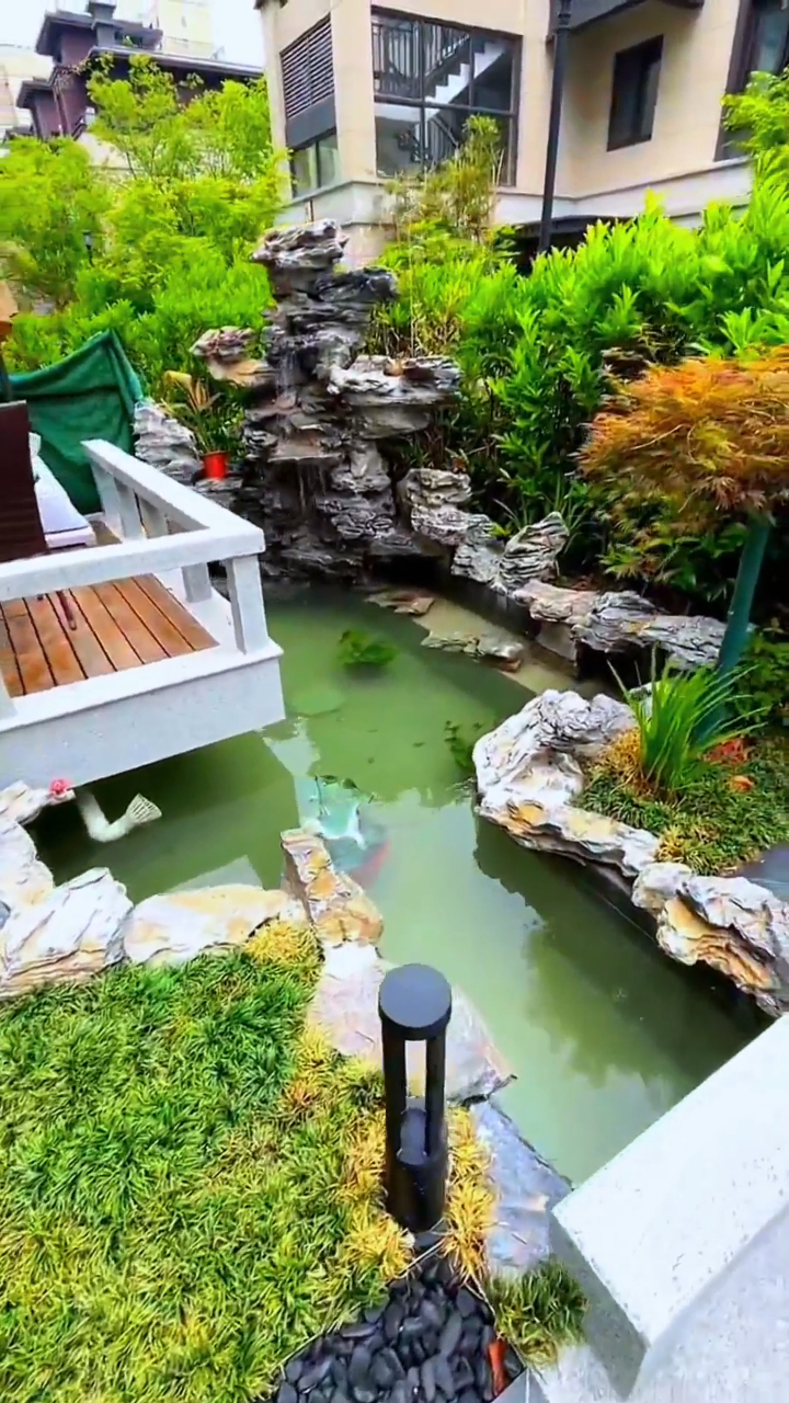 小院山水案例第三弹:小型假山鱼池,小而精致!