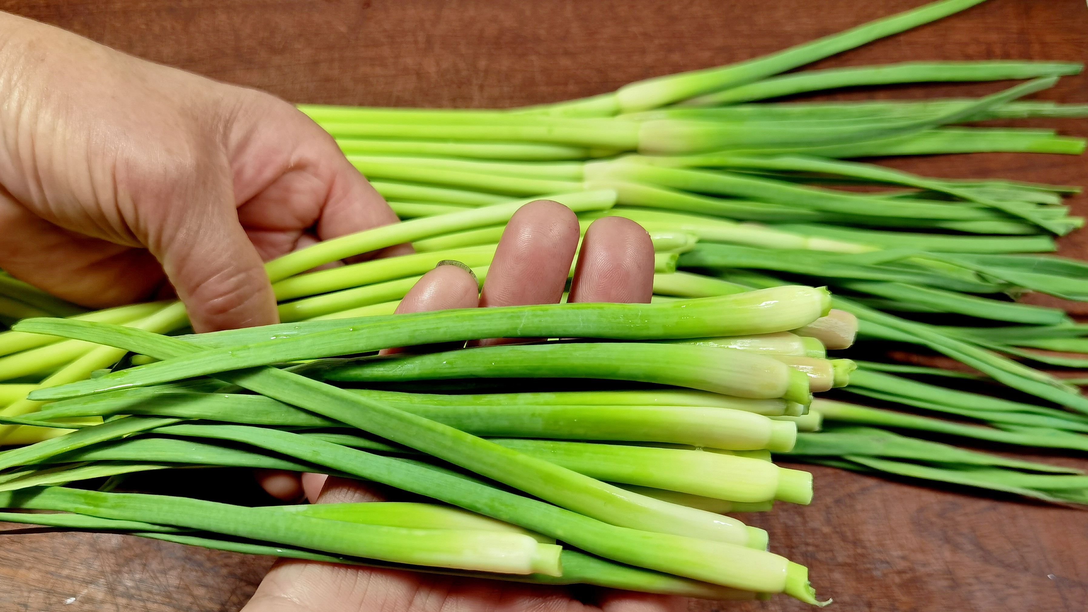 蒜苔尾巴是个宝,丢掉太可惜,教你好吃做法,一大盘不够吃,真香