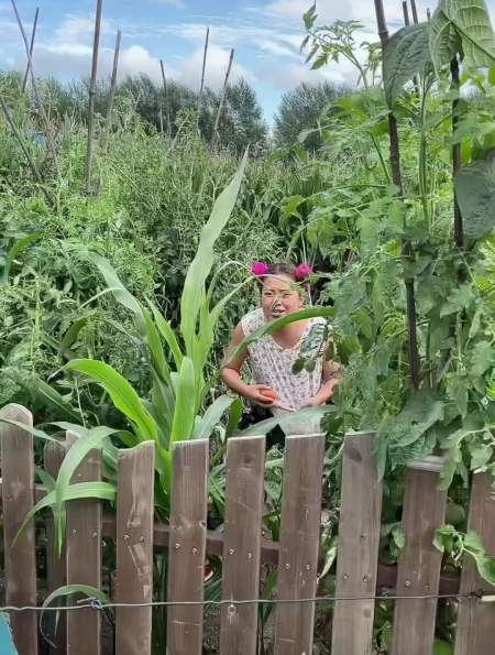 大妮的农村生活,大妮借自行车去供销社,不小心出了车祸了-度小视