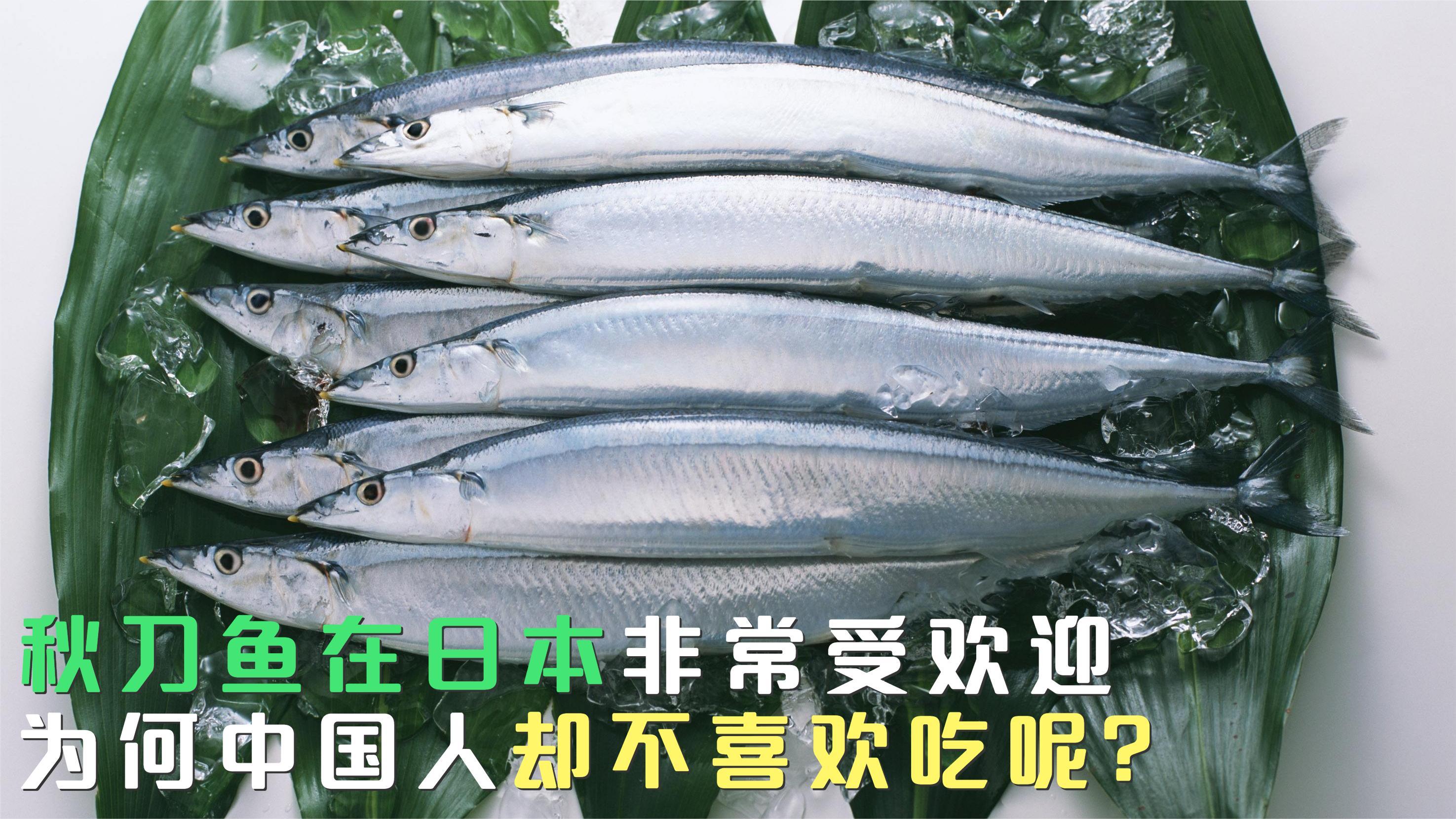 秋刀鱼在日本非常受欢迎,为何中国人却不喜欢吃呢?