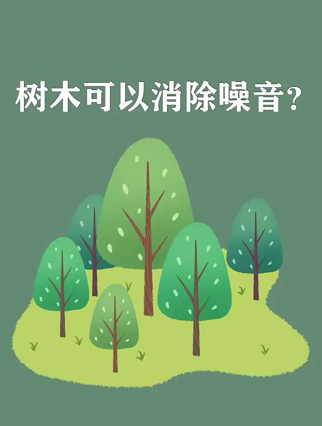 树木可以消除噪音?树木 科普 涨知识
