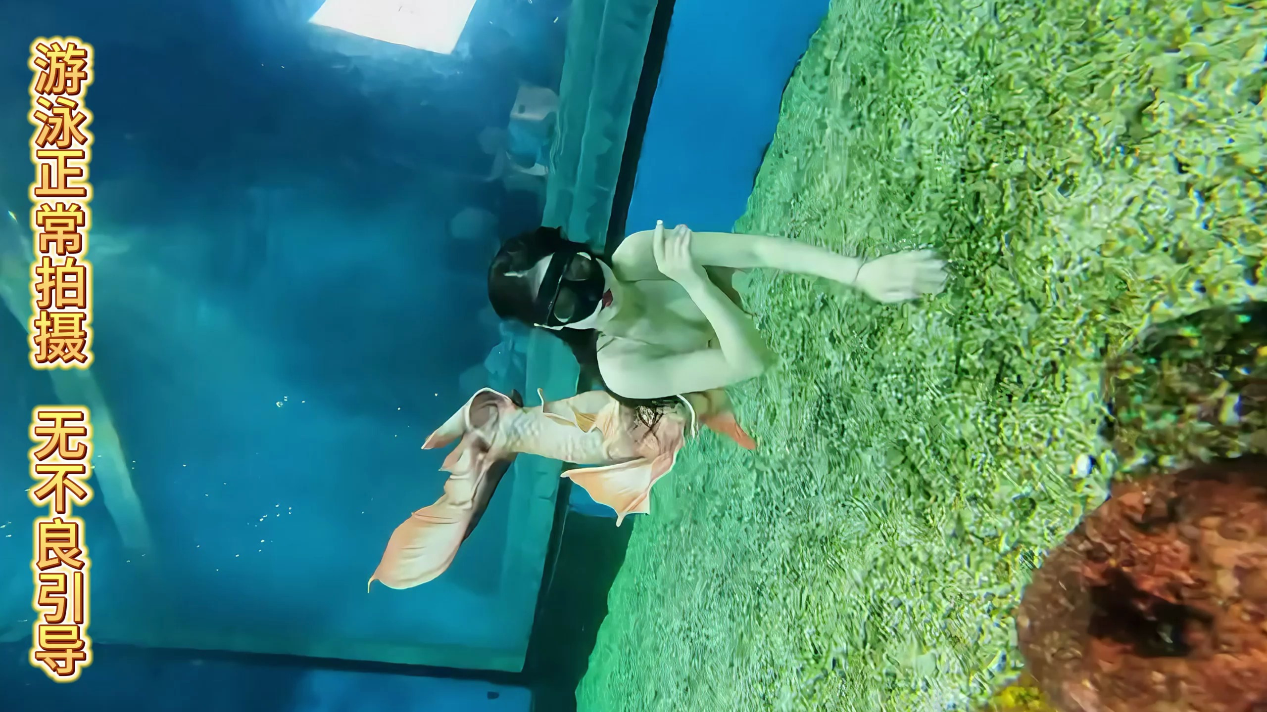 今天是快乐的美人鱼,有人觉得好看吗?