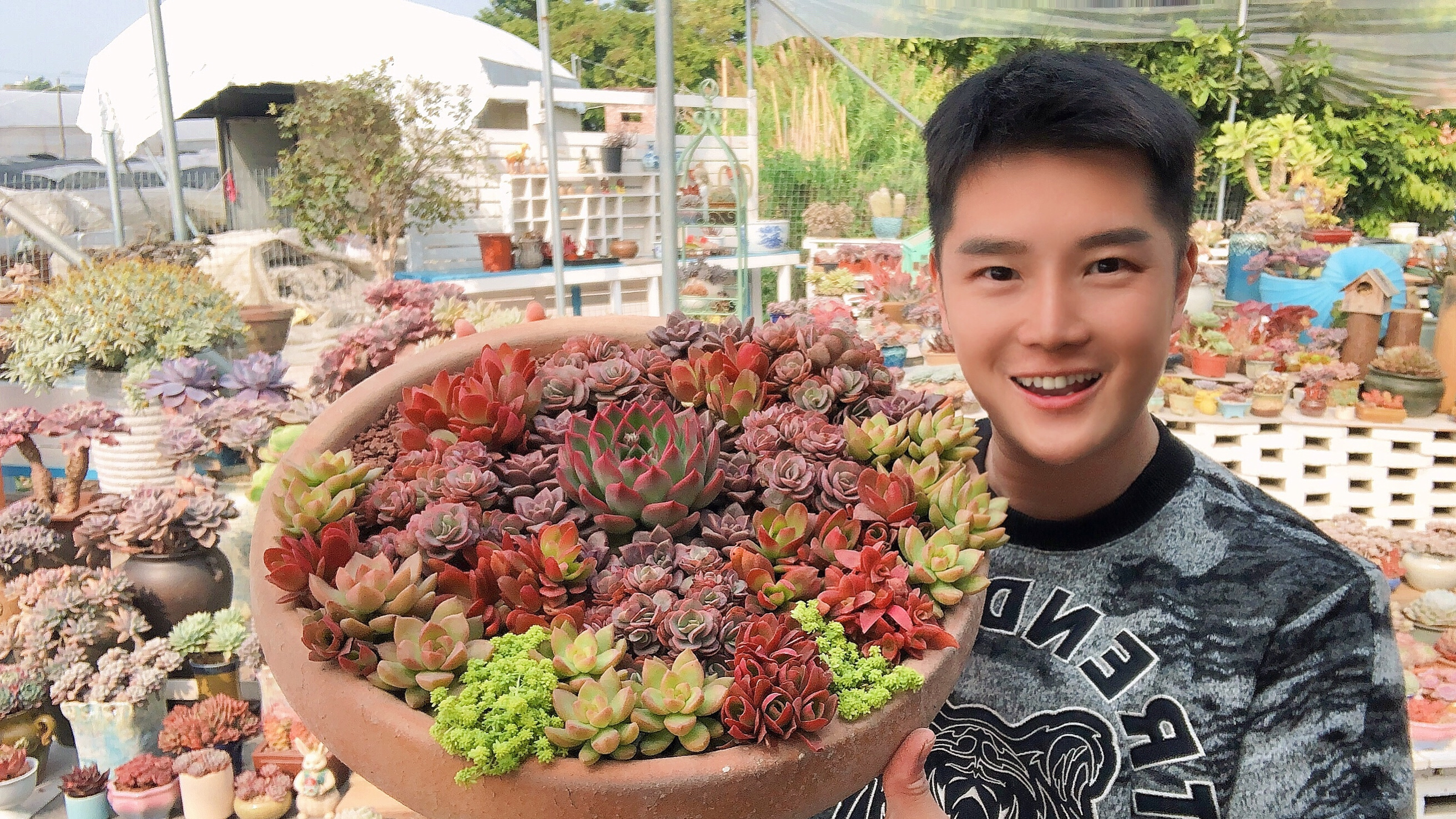 养多肉不要挪来挪去搬上搬下,植物也不喜欢被打扰,影响生长!