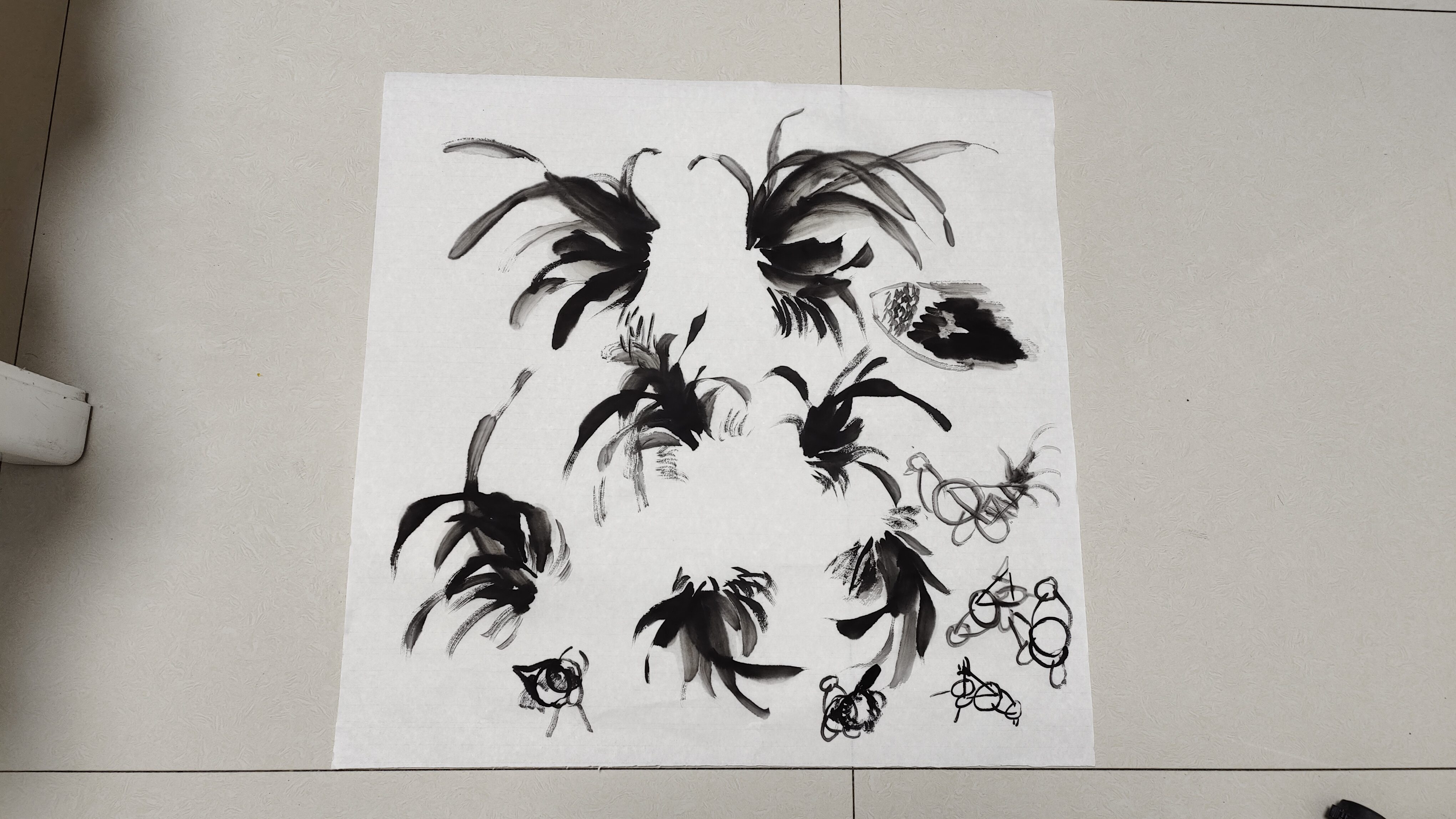 您还担心公鸡尾巴画不好吗?这堂课老师为你解析痛点