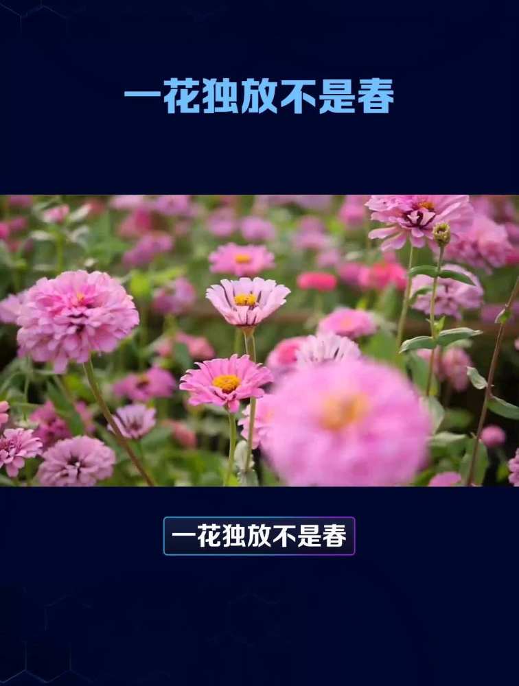 一花独放不是春