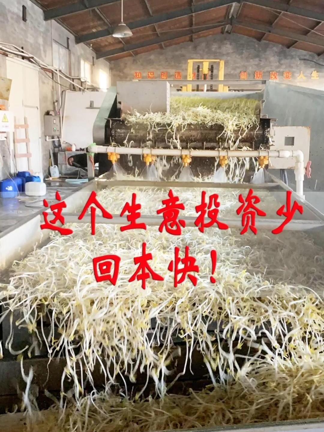 这个生意投资少回报快!