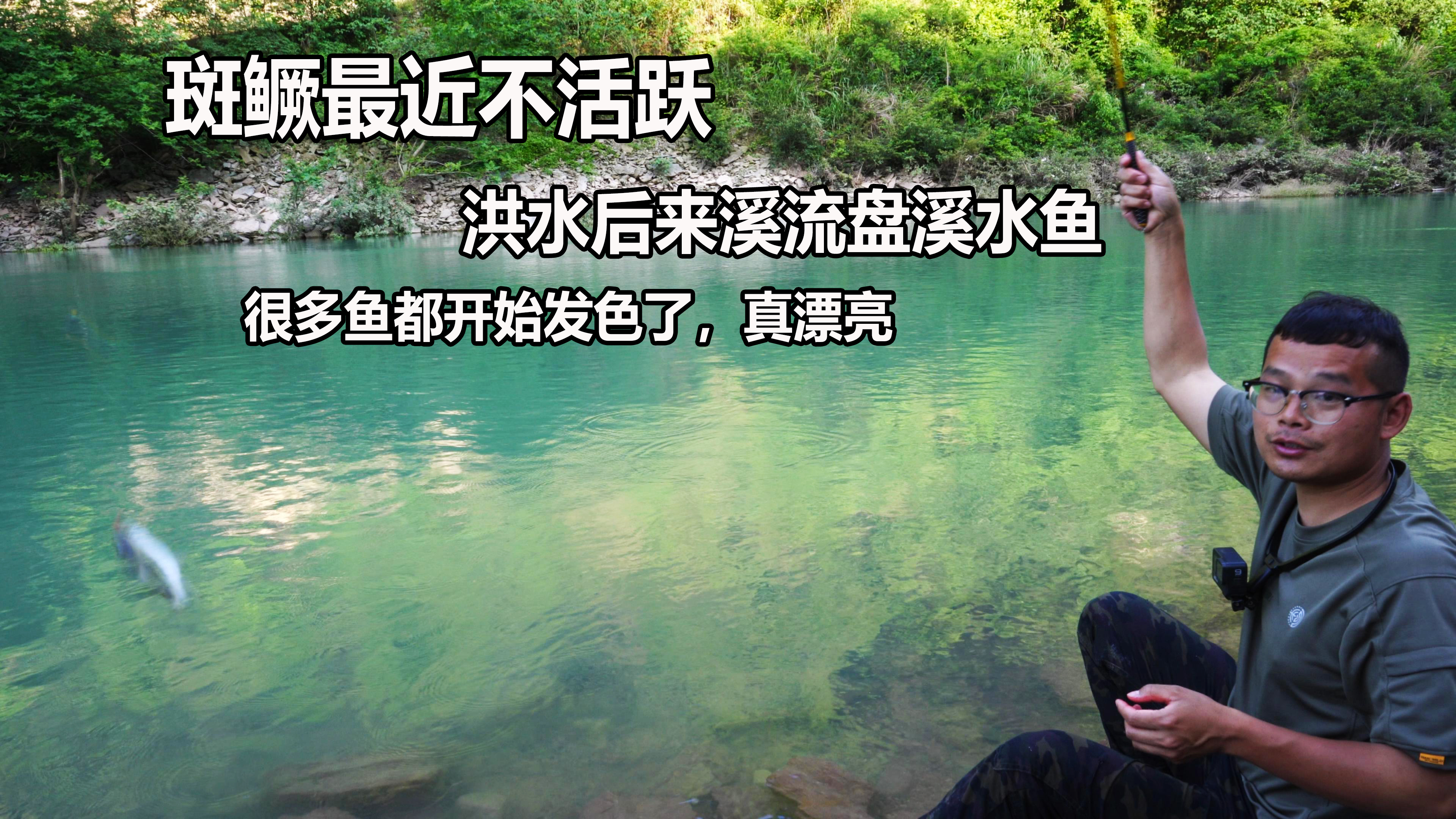 旁边钓友总上公斤斑鳜,无奈换手竿野钓,还是溪水鱼钓着顺手