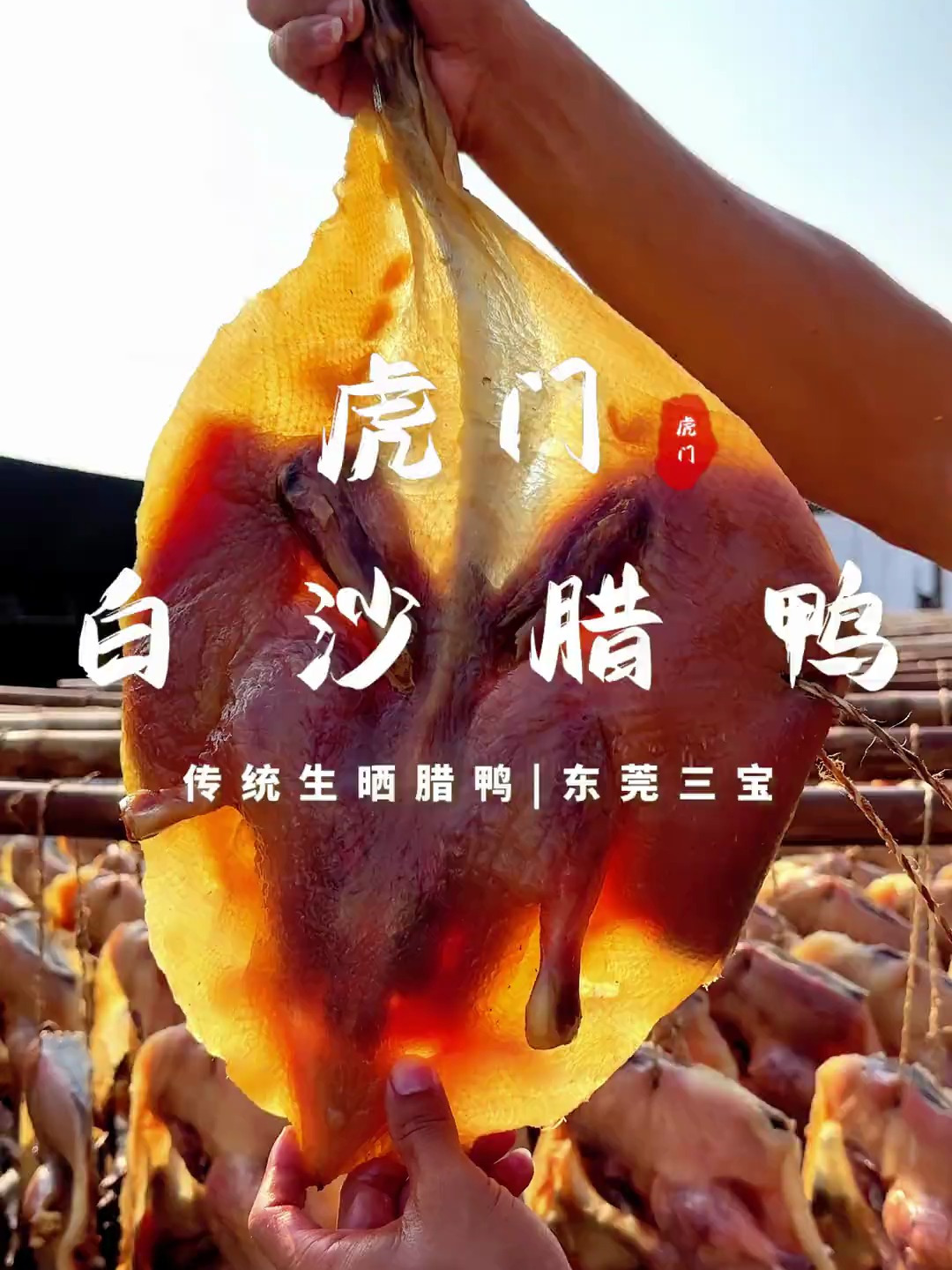 东莞三宝之一,虎门白沙油鸭原来是这么制作的