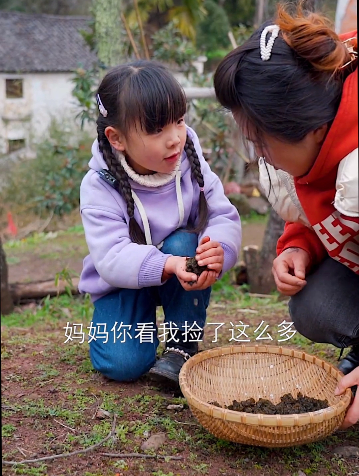 地皮菇可以吃吗图片