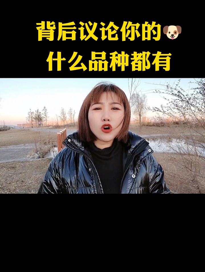 背后议论你的狗什么品种都有