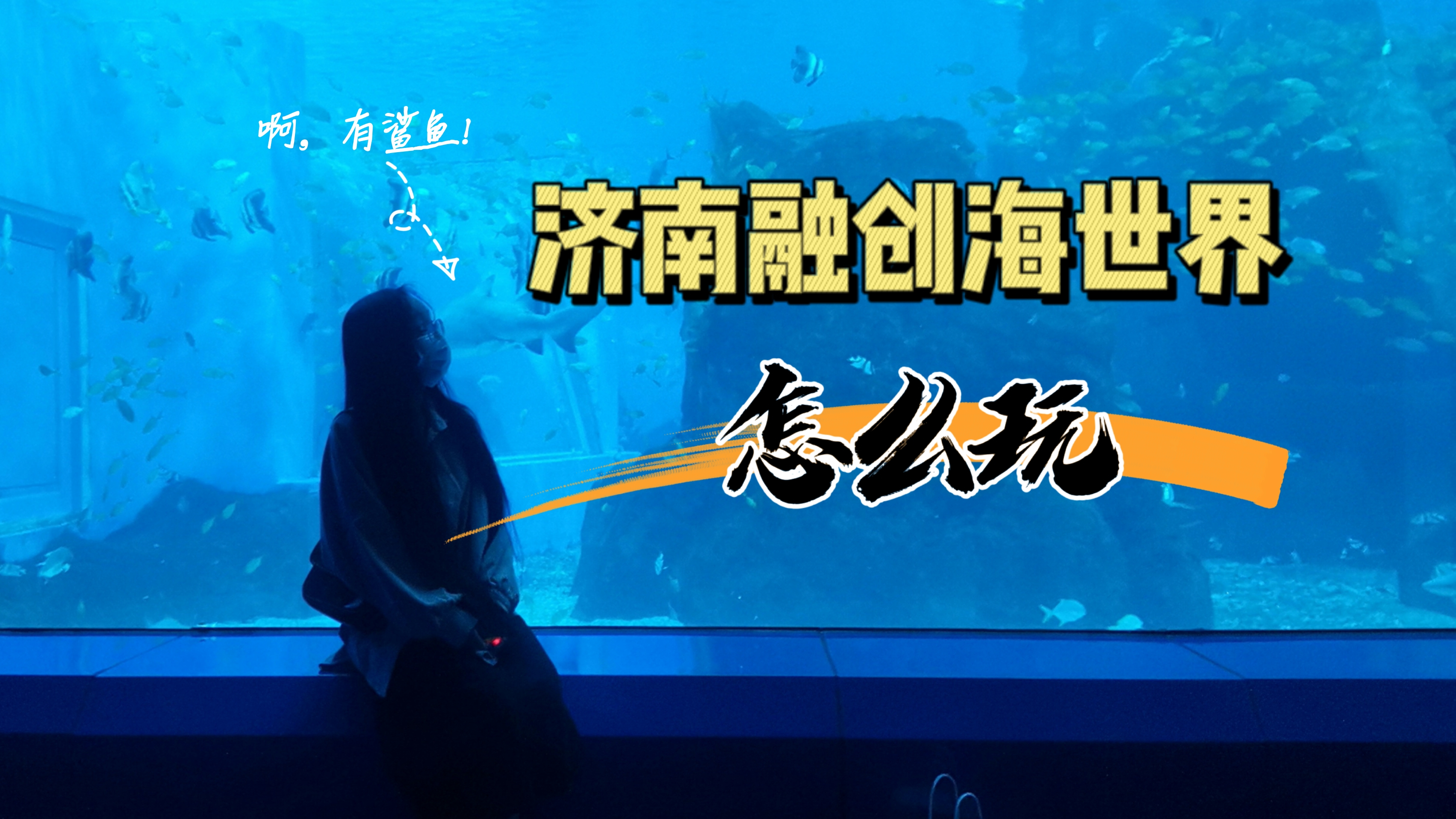 探访遛娃新地标济南融创海世界,里面到底有什么,首次游览怎么玩