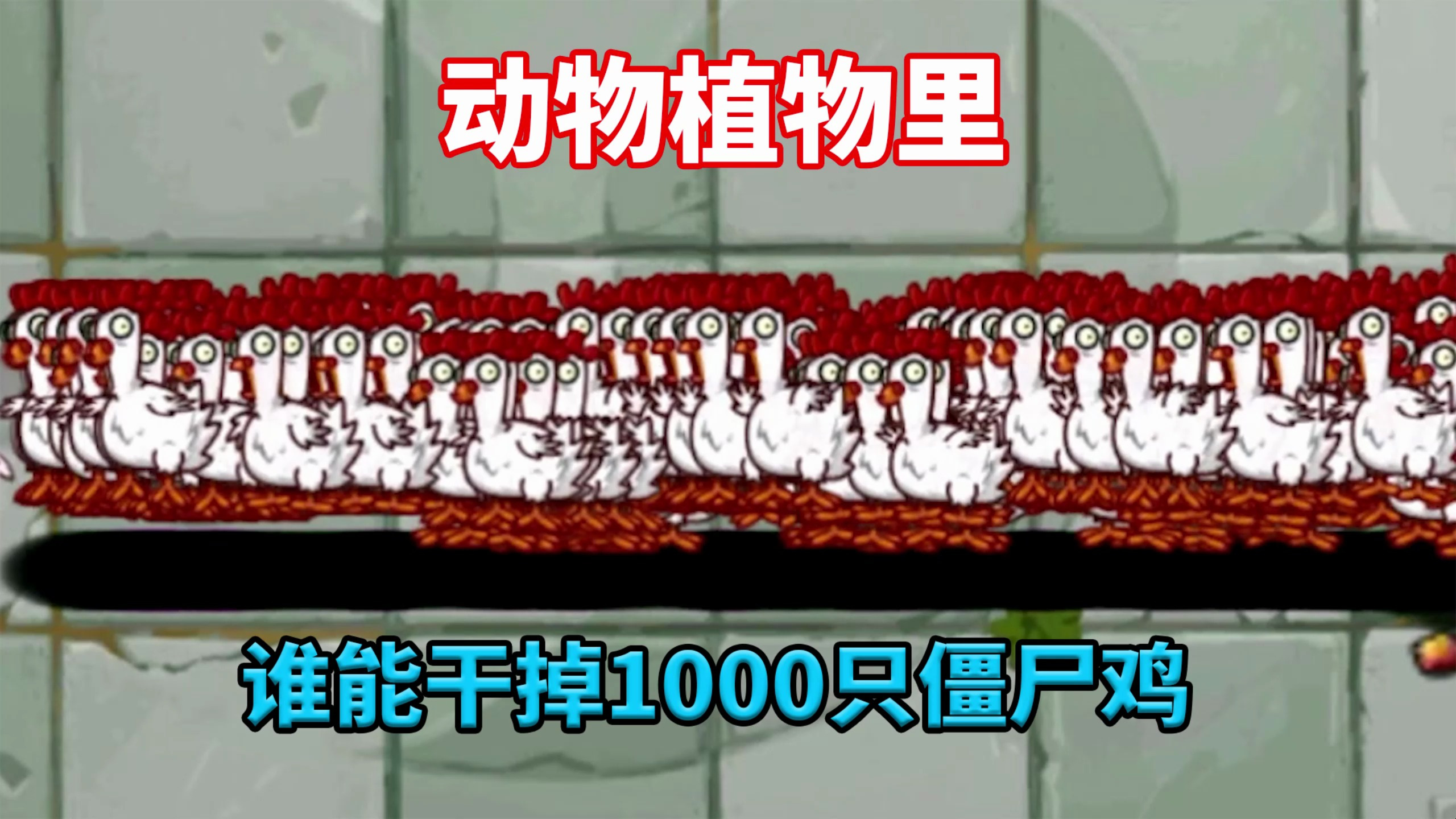 植物大战僵尸2:动物世界挑战1000只僵尸鸡!