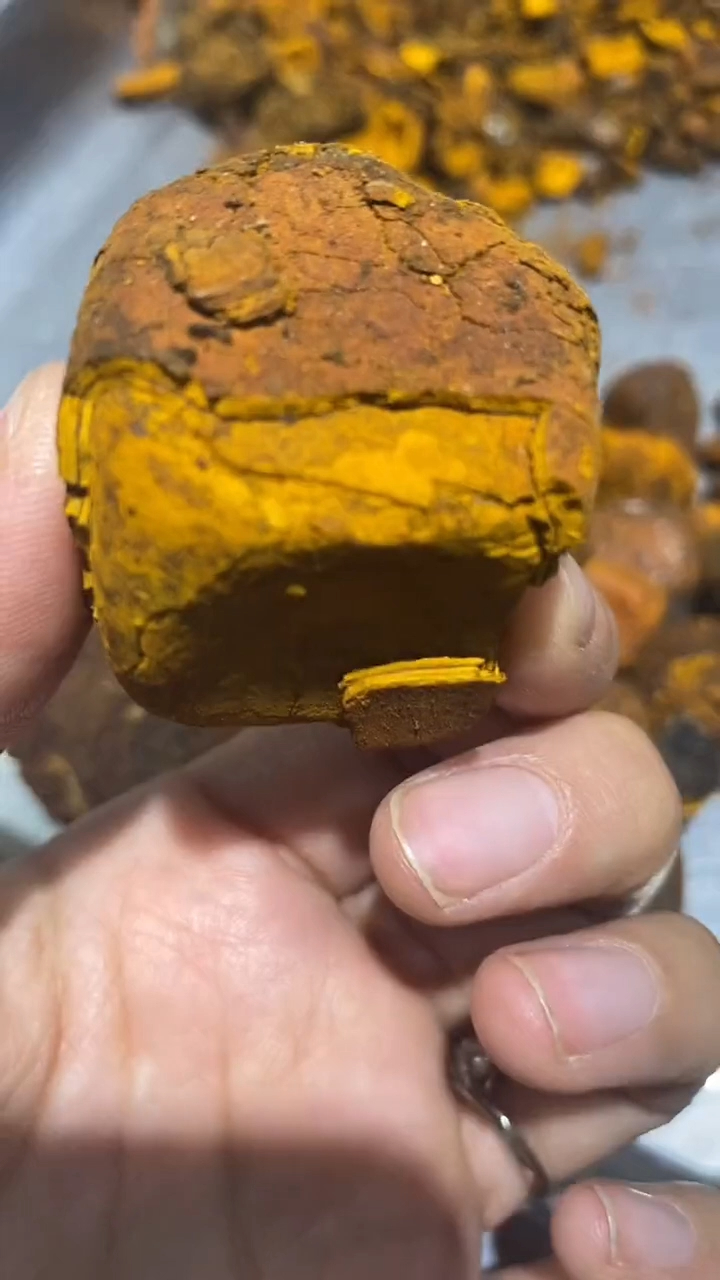 天然牛黄千金易得牛黄难求神奇的牛黄看看长啥样