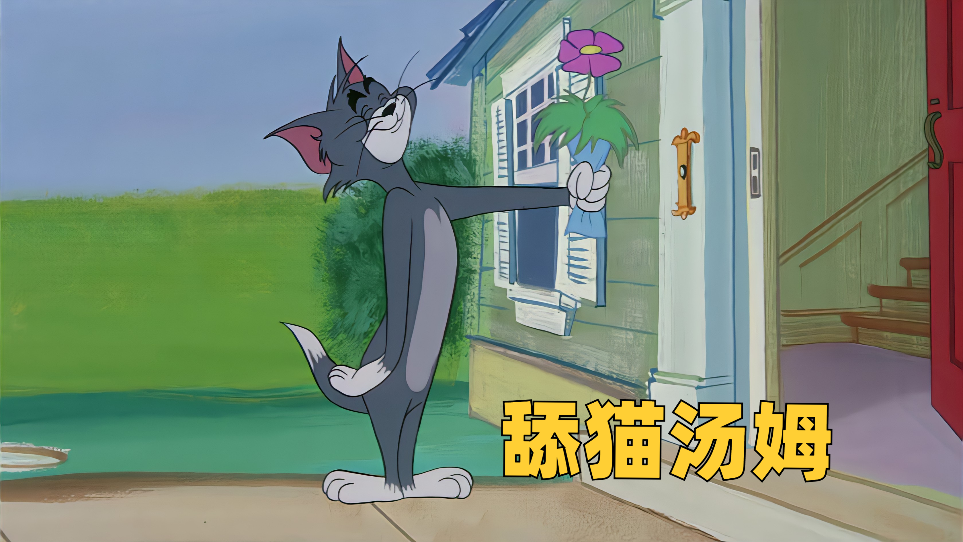 舔猫汤姆,小时候看不懂,现在才发现猫和老鼠是给成人看的动画