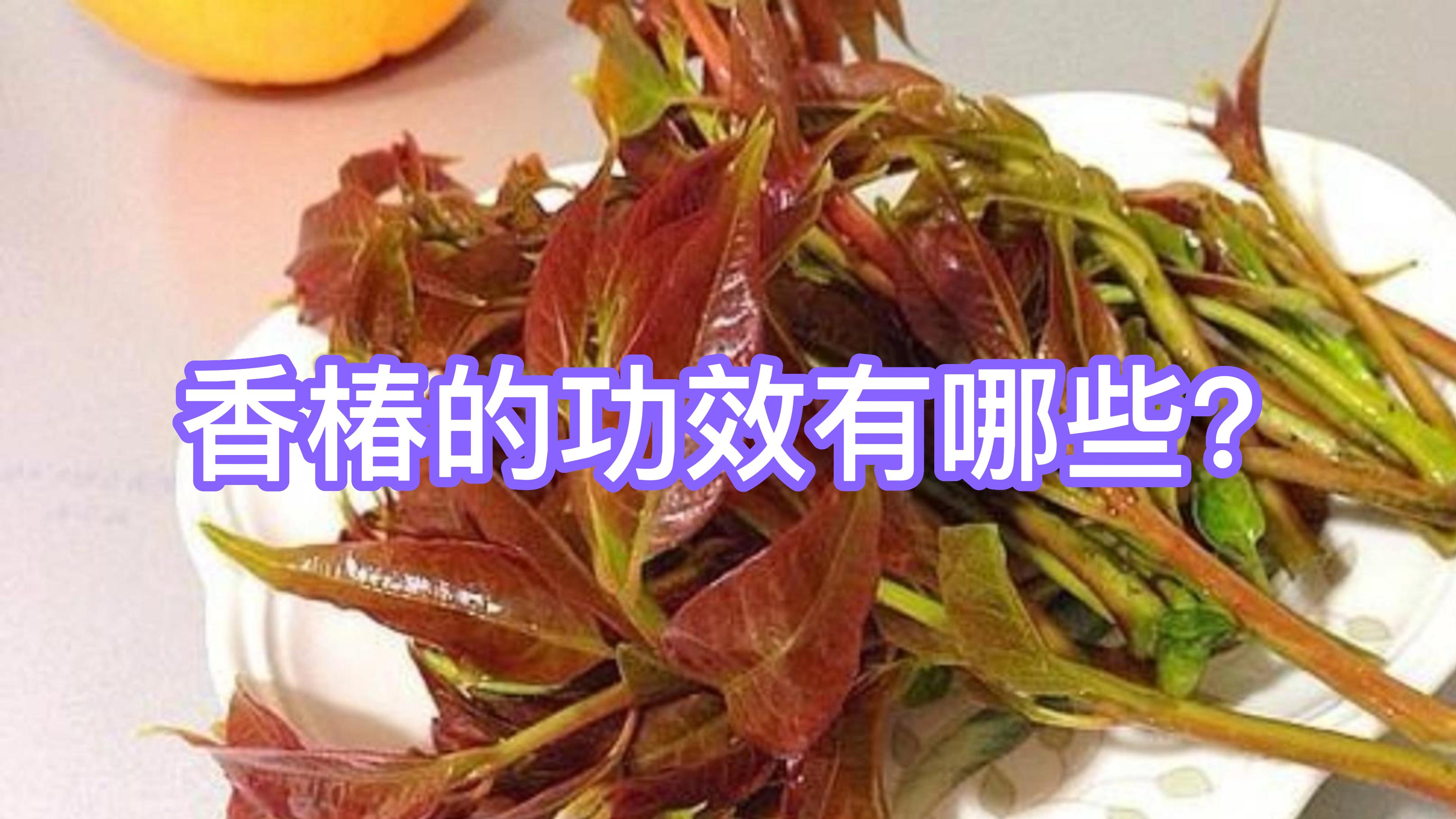 香椿的功效有哪些?
