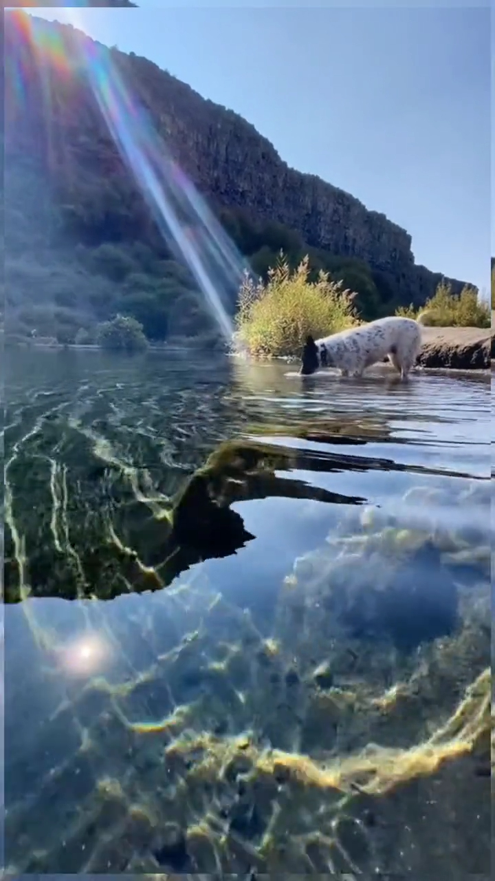 夏天,小溪更加迷人.溪水被太阳照得波光粼粼,水面一闪一闪-度小视