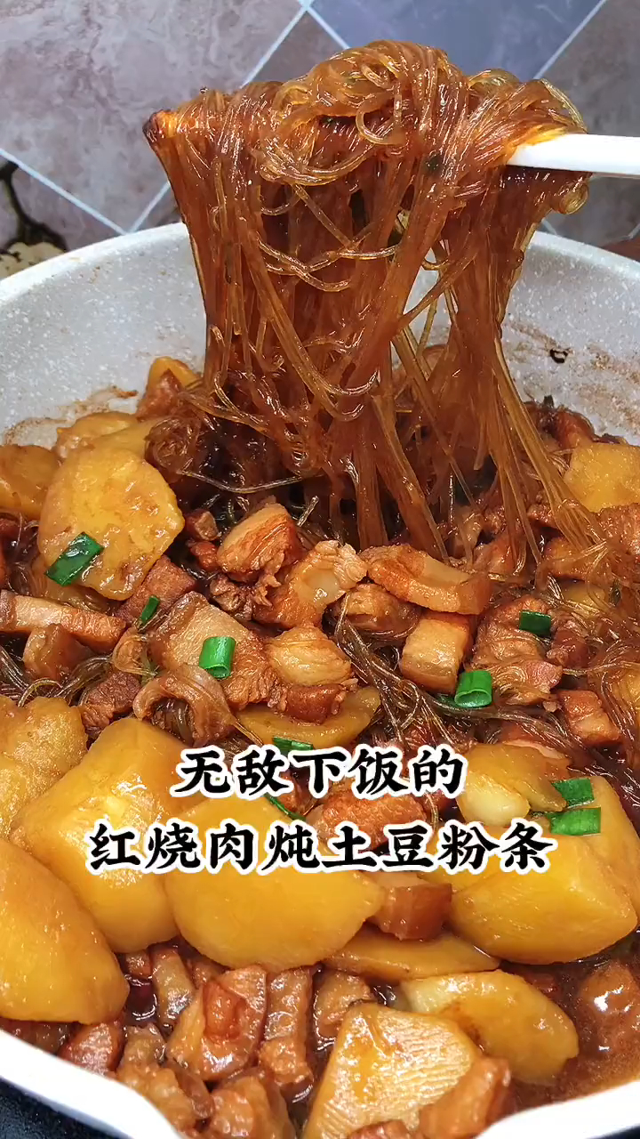 红烧肉炖土豆粉条图片