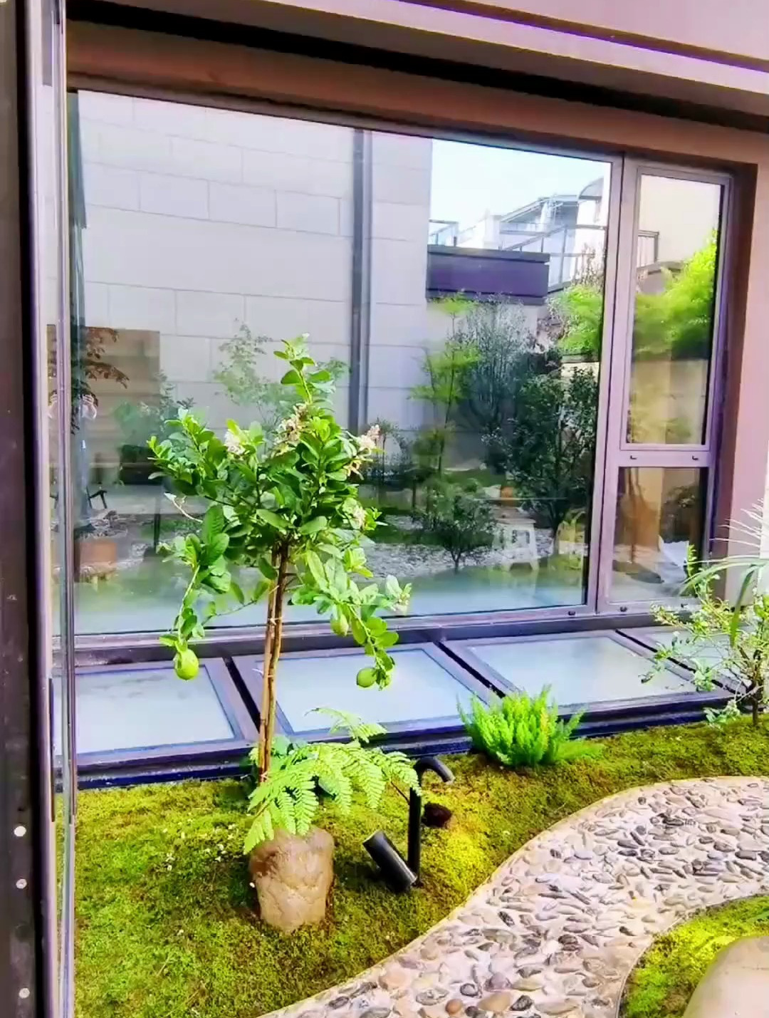40平方一镜到底的小院 是什么样子的