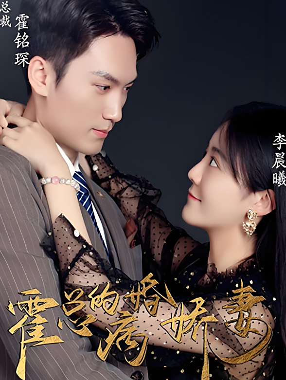 霍总的病婚娇妻