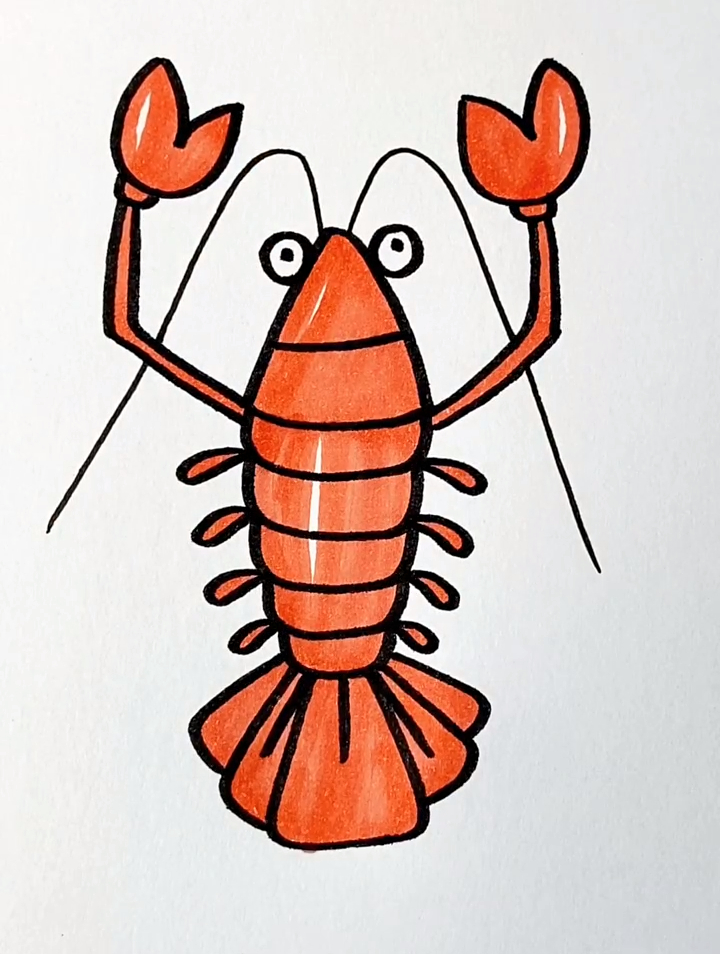 大龙虾的简笔画 可爱图片
