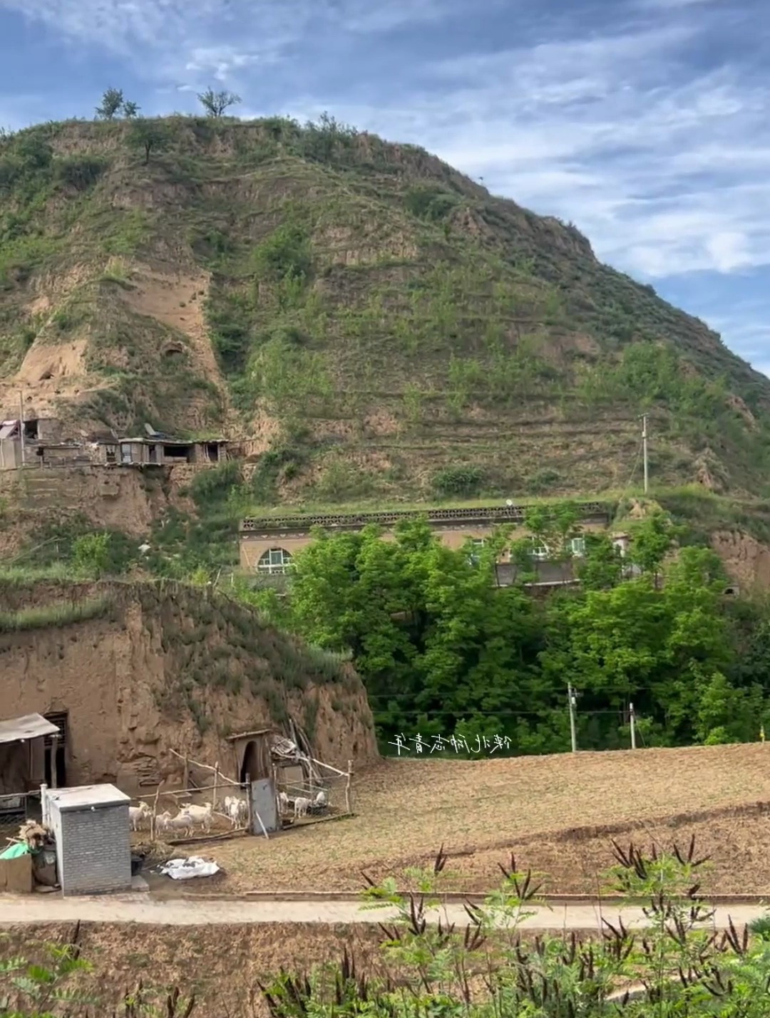 真实的陕北农村山沟沟
