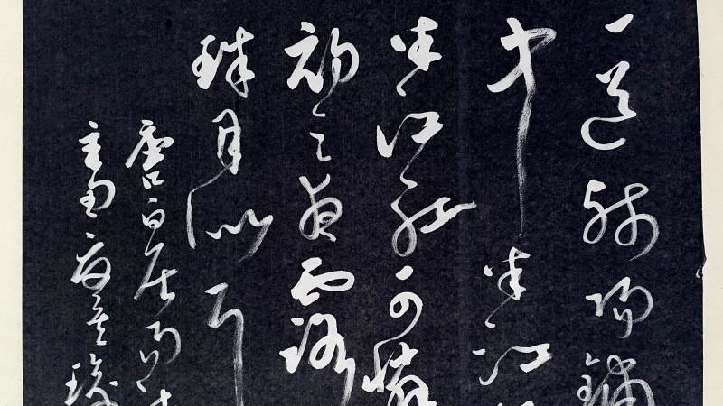 草书——《暮江吟》白居易,文化,艺术,好看视频