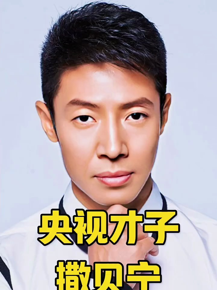 都是娱乐家撒贝宁李白