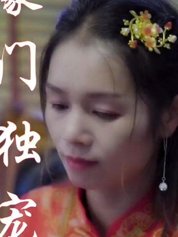 府中夫人封面图