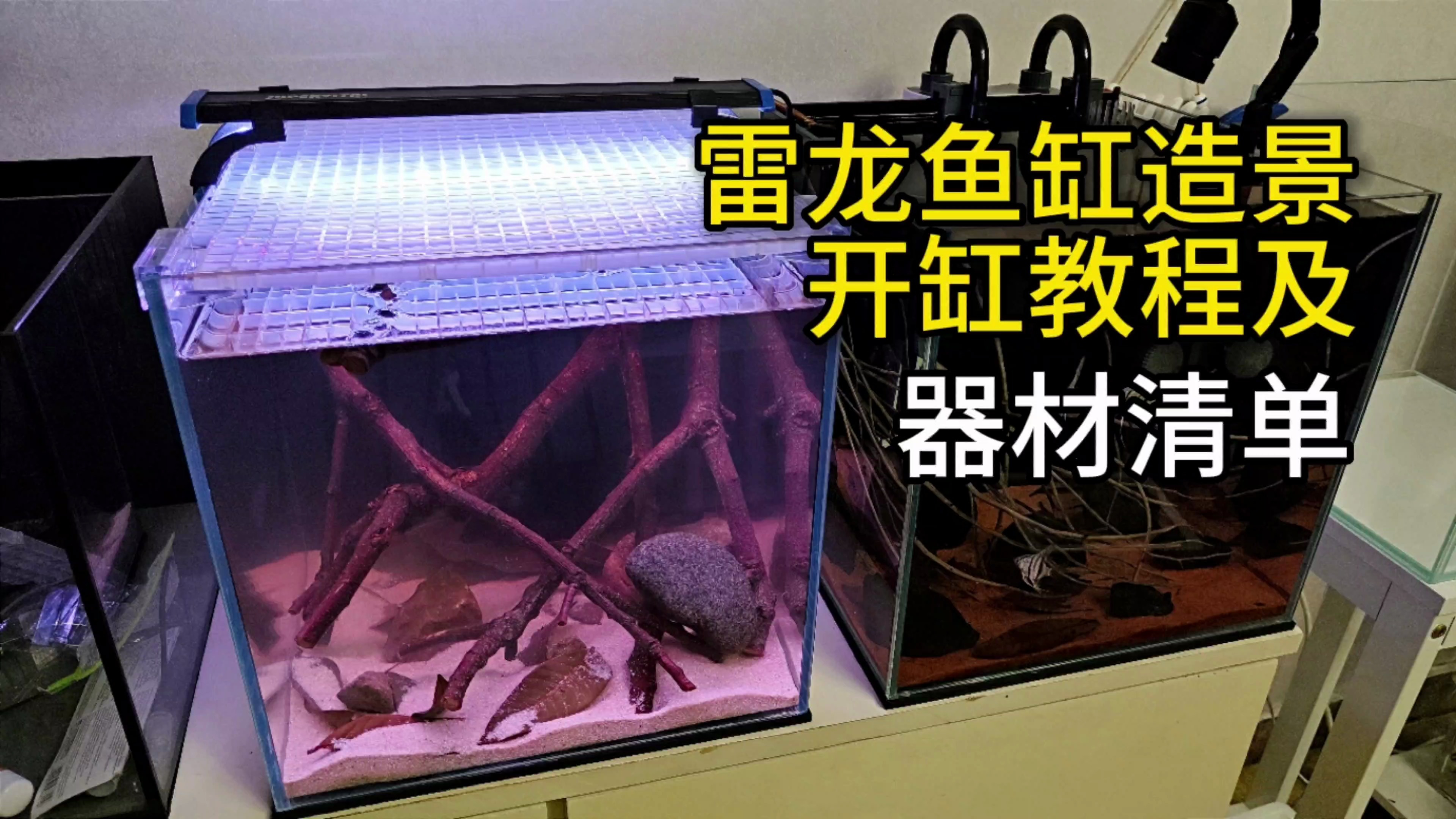 雷龙鱼缸造景开缸教程,及器材清单,养鱼就是这么简单!