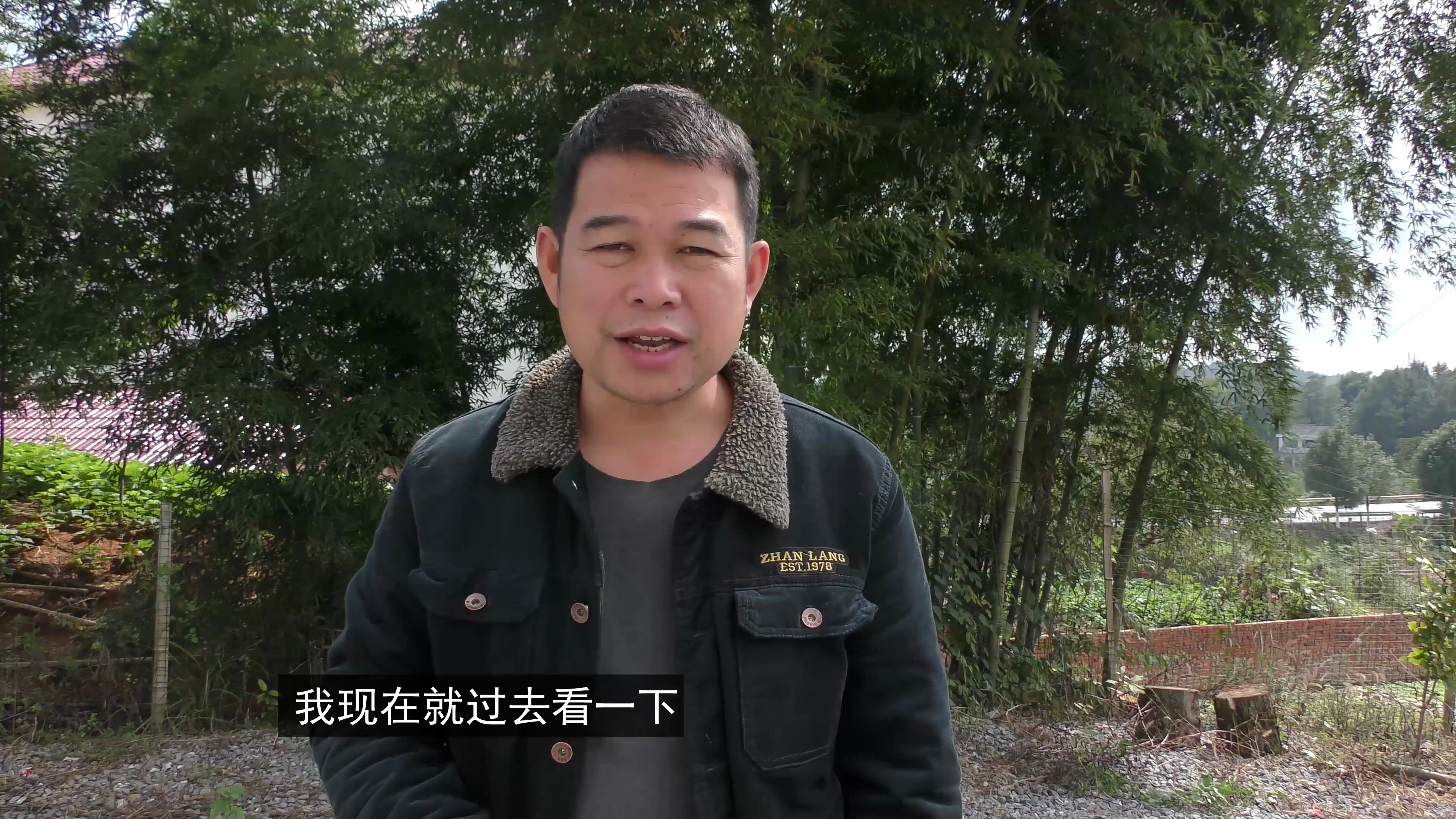 去兄弟那买树建鸡棚,市场价100块钱一根,看兄弟收多少