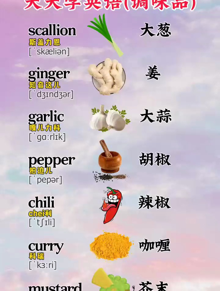 关于配料调味品的英语-大葱