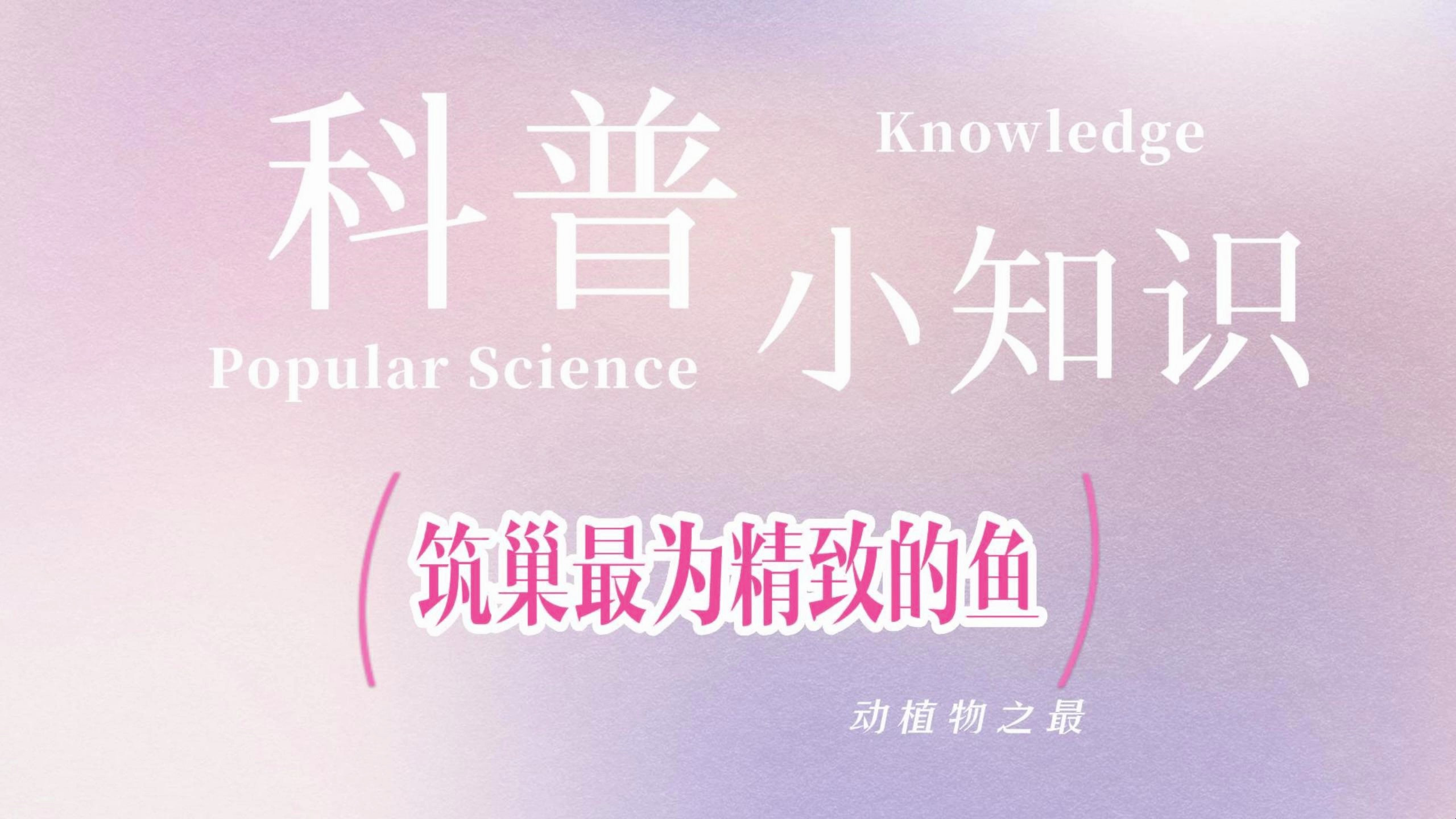 筑巢最为精致的鱼