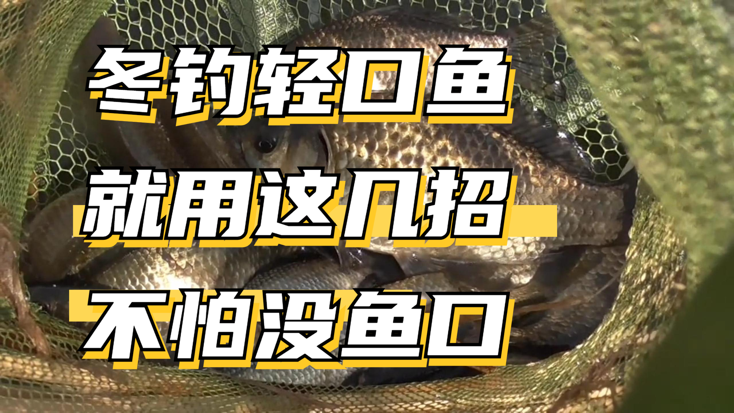 冬钓轻口鱼,就用这几招,只要开口,就不怕没渔获