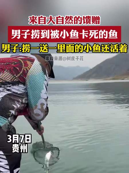 来自大自然的馈赠男子捞到被小鱼卡死的鱼