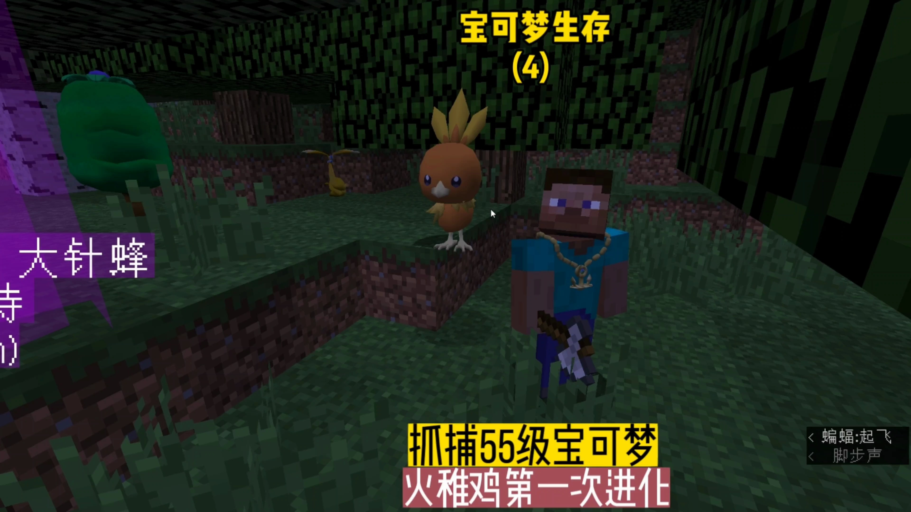 宝可梦生存(4):抓捕55级宝可梦,火稚鸡第一次进化
